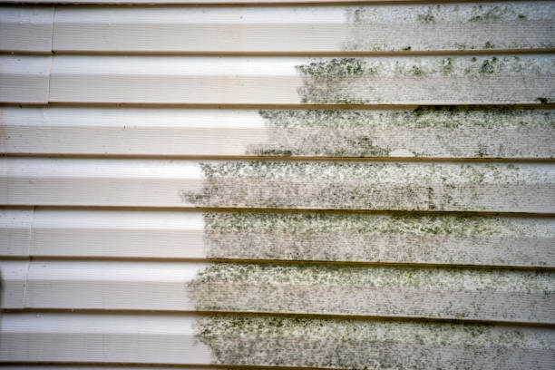  Rockland, ME Siding Installation Pros