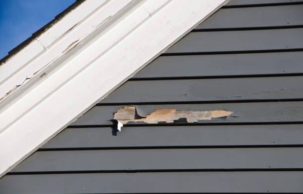 Best Historical Building Siding Restoration  in Rockland, ME
